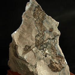 Minerales de la provincia de Alicante. Marcasita