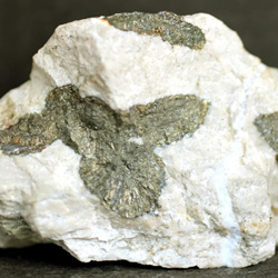 Minerales de la provincia de Alicante. Marcasita