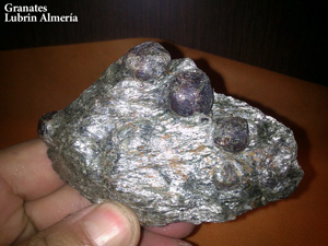 Coleccin de Minerales de Kino Cortes