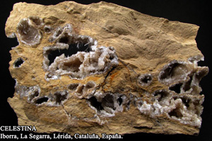 Coleccin de Minerales de Jose Luis Zamora Rubio