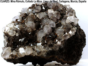 Coleccin de Minerales de Jose Luis Zamora Rubio