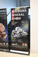 Bologna Mineral Show