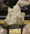 Grupo Mineralógico de Alicante.  Bologna Mineral Show 