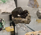 Grupo Mineralógico de Alicante.  Bologna Mineral Show 