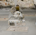    Bologna Mineral Show