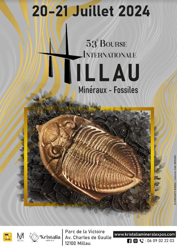 51º Bourse Internationale Minéraux et Fossiles. Millau. Francia.