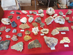  41ª feria de minerales y fósiles de Narbona 