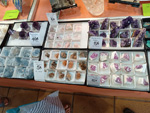  41ª feria de minerales y fósiles de Narbona 