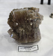  41ª feria de minerales y fósiles de Narbona