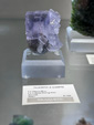 Tucson Gem and Mineral Show 2024