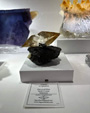 Tucson Gem and Mineral Show 2024