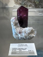 Tucson Gem and Mineral Show 2024