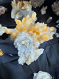 Tucson Gem and Mineral Show 2024