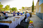 IX Mesa de Intercambio de Minerales y Fósiles de Alicante. 