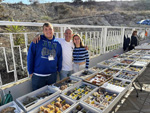 IX Mesa de Intercambio de Minerales y Fósiles de Alicante. 