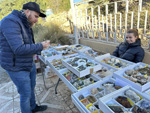 VIII Mesa de Intercambio de Minerales y Fósiles de Alicante. 