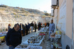 VIII Mesa de Intercambio de Minerales y Fósiles de Alicante. 