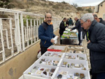 VI Mesa de Intercambio de Minerales y Fósiles de Alicante