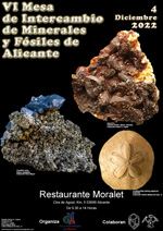 VI Mesa de Intercambio de Minerales y Fósiles de Alicante