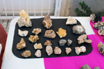 X Mesa de Intercambio de Minerales y Fósiles de Alicante. 