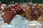 VI Feria de Minerales y Fósiles TORRELAVEGA