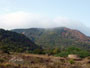 Los Pajaritos. Sierra Minera de la Unión Cartagena