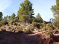 La Escarabechuela. Enguidanos. Cuenca