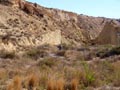 GMA. Lagunas de Rabasa en  Alicante