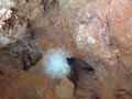 GMA: Mina Cueva de la Paloma, Tijola. Almería