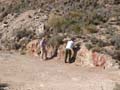 GMA. Casa de litero en la Foia Castalla y Font de les terres en Agost