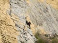 Explotación de áridos. Tossal Redo San Vicente del Raspeig. Alicante 