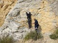 Explotación de áridos. Tossal Redo San Vicente del Raspeig. Alicante 