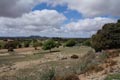 Minas de Hierro. Cabezogordo. Torrepacheo. Murcia  Alicante 