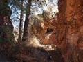 Minas del Carmen. la Celia. Jumilla. Murcia