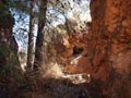 Minas del Carmen. la Celia. Jumilla. Murcia