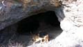 Mina de Cobre. Sierra de las Estancias, Higueral, Tíjola, (Almería)