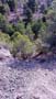 Mina de Cobre. Sierra de las Estancias, Higueral, Tíjola, (Almería)