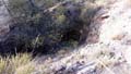 Mina de Cobre. Sierra de las Estancias, Higueral, Tíjola, (Almería)