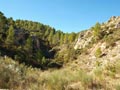 Barranco de la Escarabechuela. Enguidanos. Cuenca