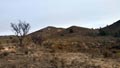 CERRO GORDO , PARAJE OLLA CALÍ. SERÓN – ALMERÍA