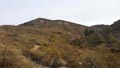 CERRO GORDO , PARAJE OLLA CALÍ. SERÓN – ALMERÍA