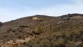 CERRO GORDO , PARAJE OLLA CALÍ. SERÓN – ALMERÍA