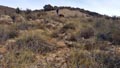 CERRO GORDO , PARAJE OLLA CALÍ. SERÓN – ALMERÍA