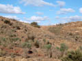 Cantera Alabastre. La Alcoraia. Alicante