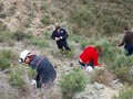 Explotación de Ofitas Los Serranos y sierra de Albatera. Alicante