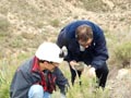 Explotación de Ofitas Los Serranos y sierra de Albatera. Alicante