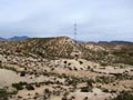 Ulea y porfidos mediterraneos en Abaran. Murcia