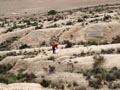 Ulea y porfidos mediterraneos en Abaran. Murcia