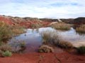 Ulea y porfidos mediterraneos en Abaran. Murcia