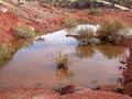 Ulea y porfidos mediterraneos en Abaran. Murcia